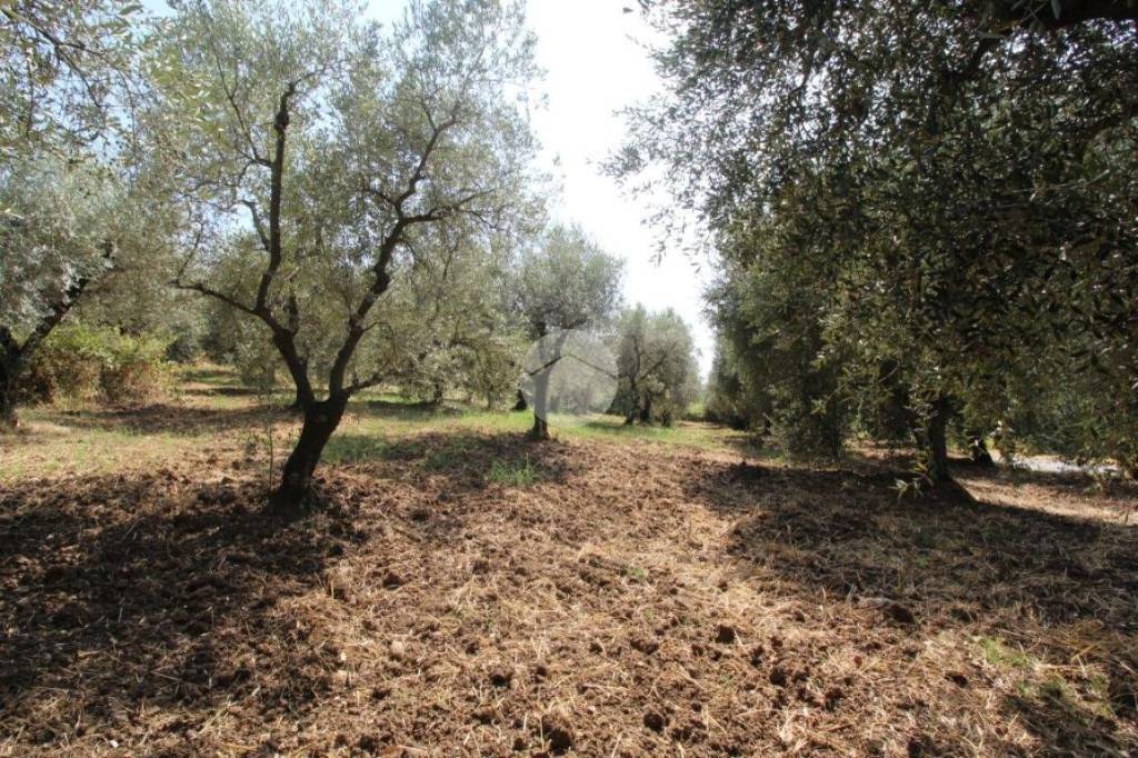 immagine annuncio 6 di 13