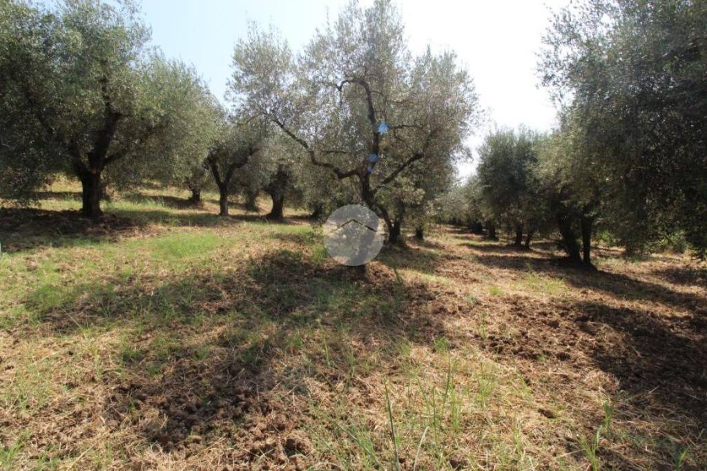 immagine annuncio 10 di 13