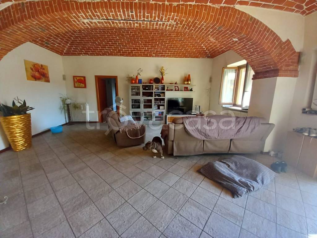 immagine annuncio 3 di 14