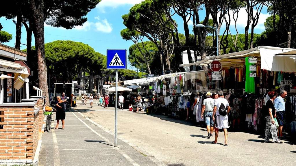 immagine annuncio 2 di 14