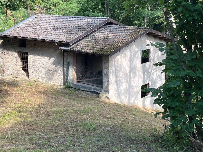 immagine annuncio 1 di 12