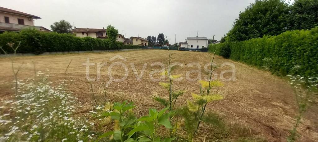 immagine annuncio 2 di 9