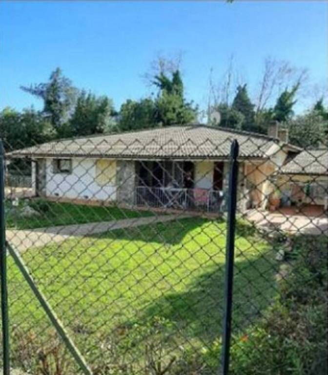 immagine annuncio 5 di 11