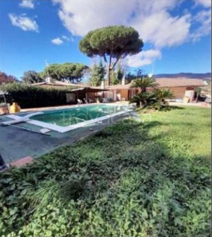 immagine annuncio 6 di 11