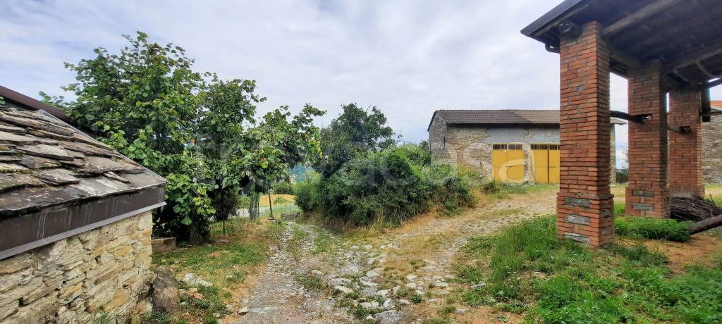 immagine annuncio 4 di 7