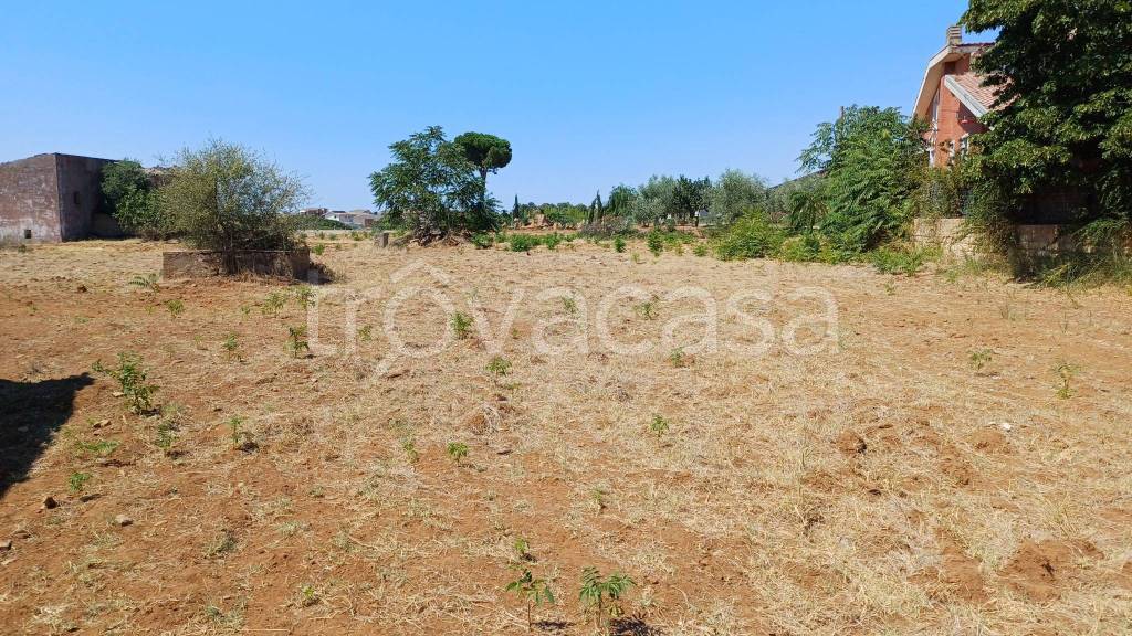 immagine annuncio 5 di 8