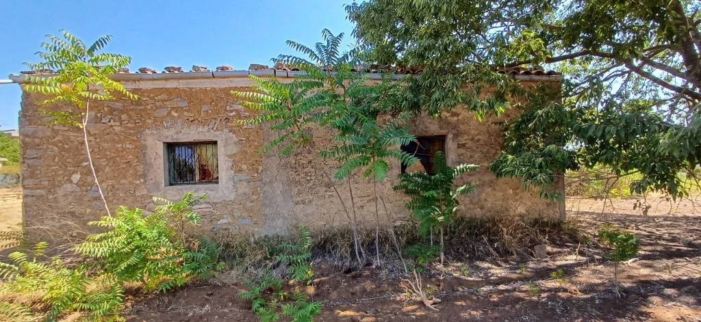 immagine annuncio 4 di 8