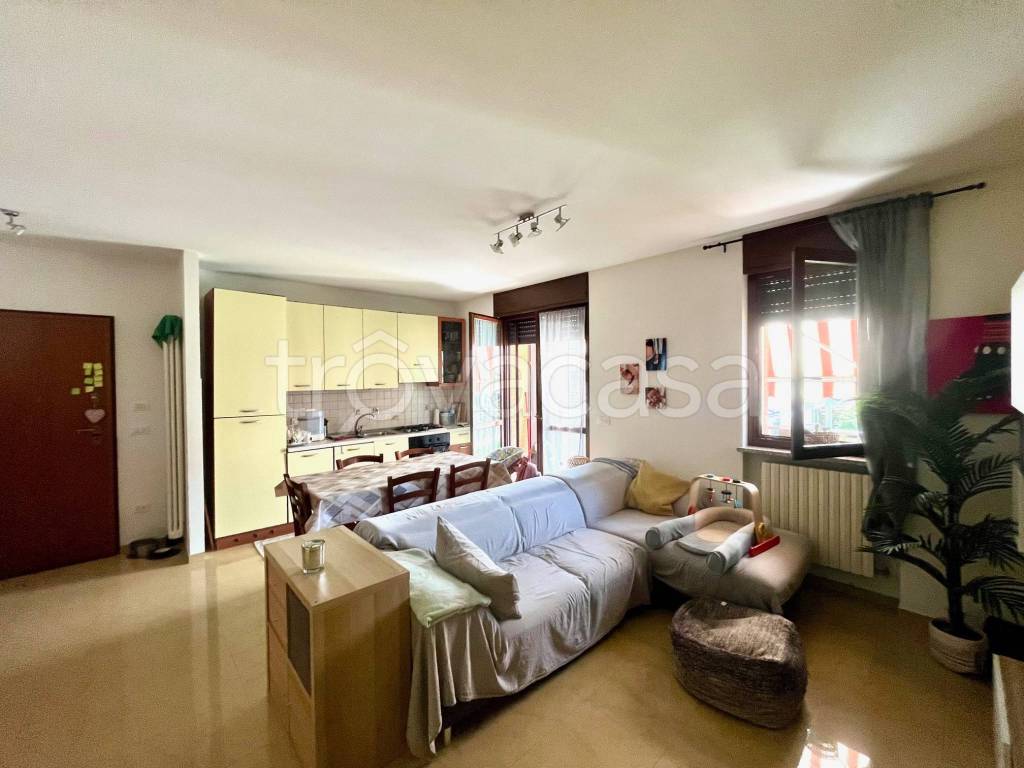 immagine annuncio 7 di 15