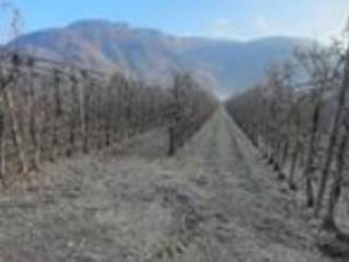 Terreno agricolo in vendita a nalles sp10