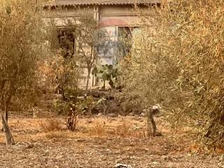 Terreno agricolo in vendita a motta sant'anastasia via margarone, sn