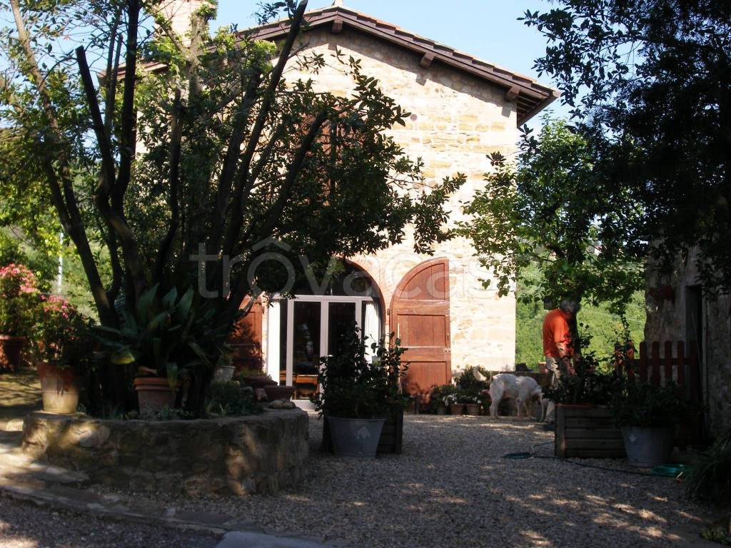immagine annuncio 11 di 14