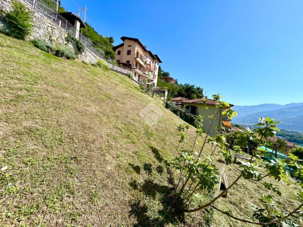 immagine annuncio 4 di 9