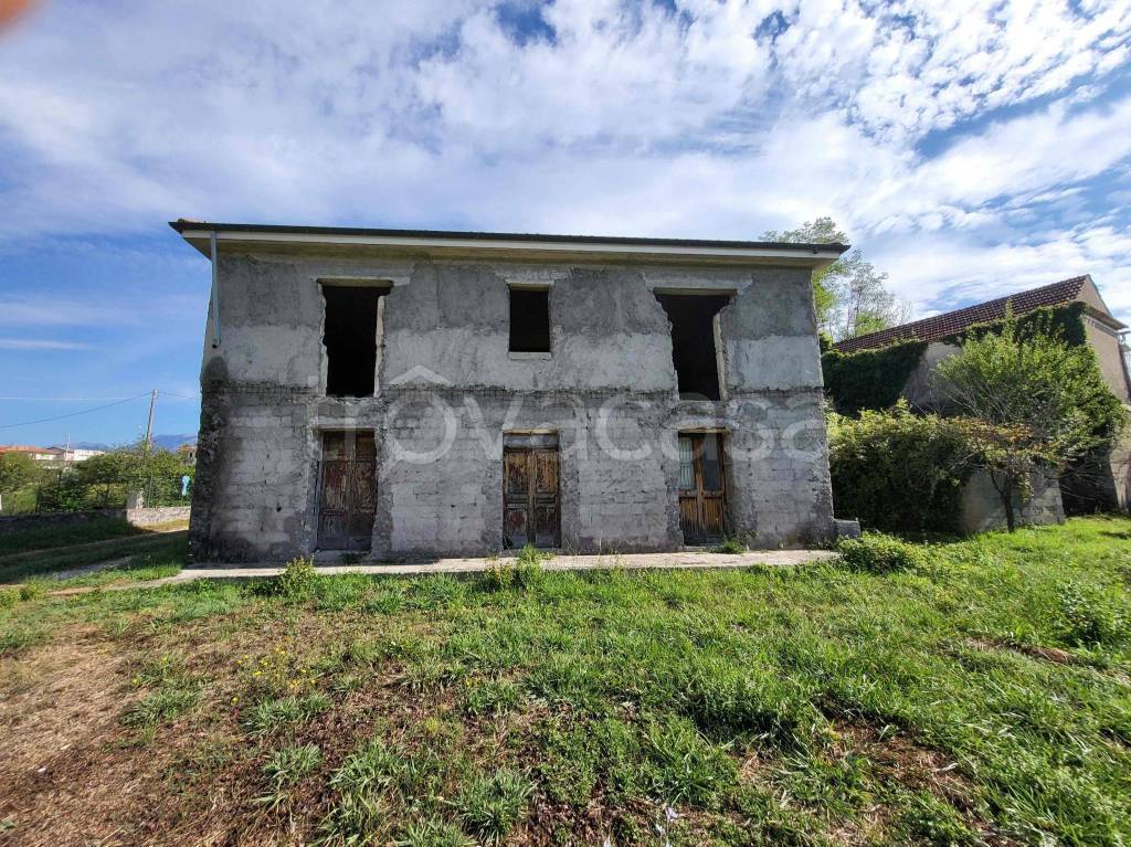 immagine annuncio 2 di 11