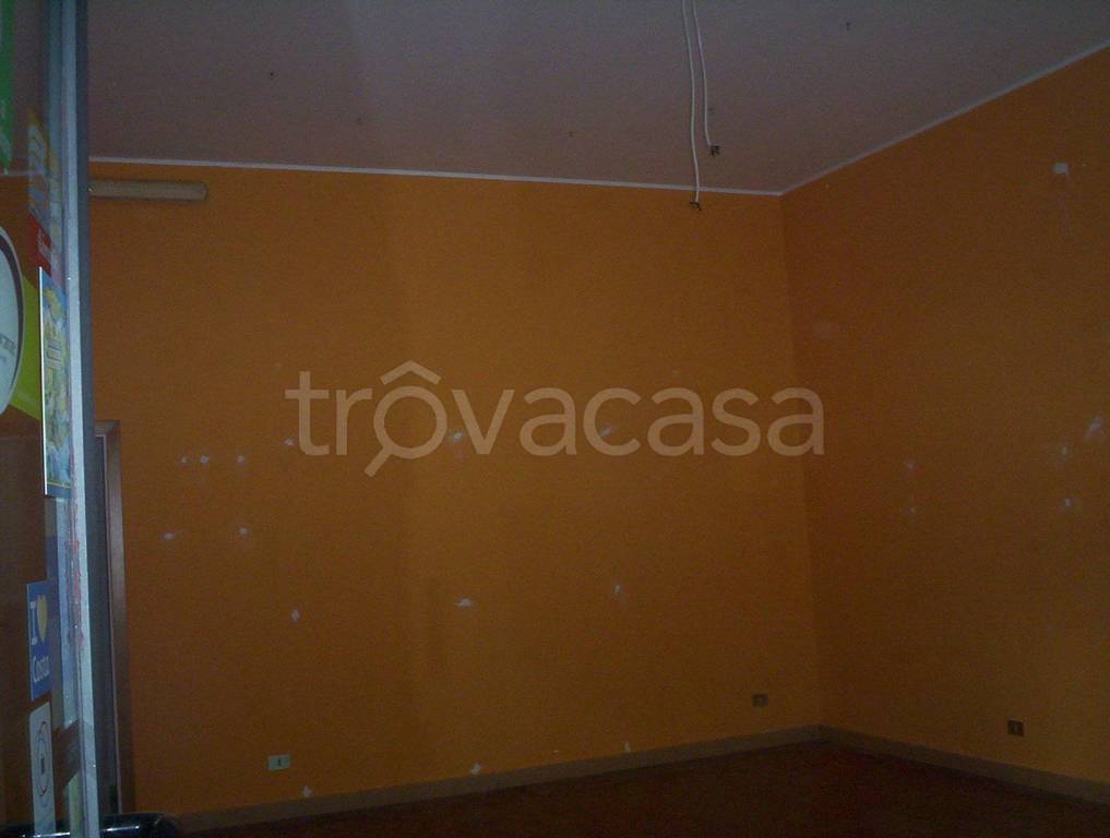 immagine annuncio 2 di 7