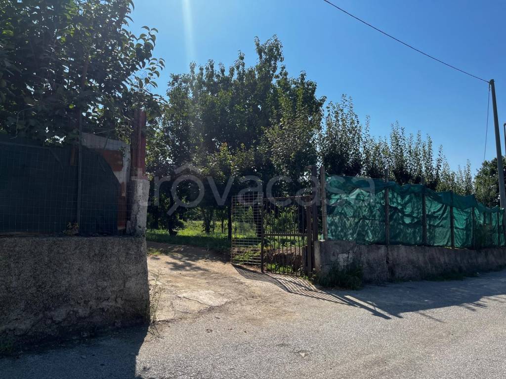 immagine annuncio 3 di 14
