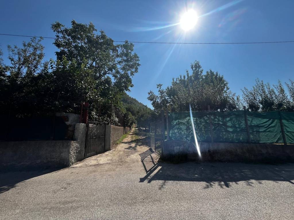 immagine annuncio 6 di 14