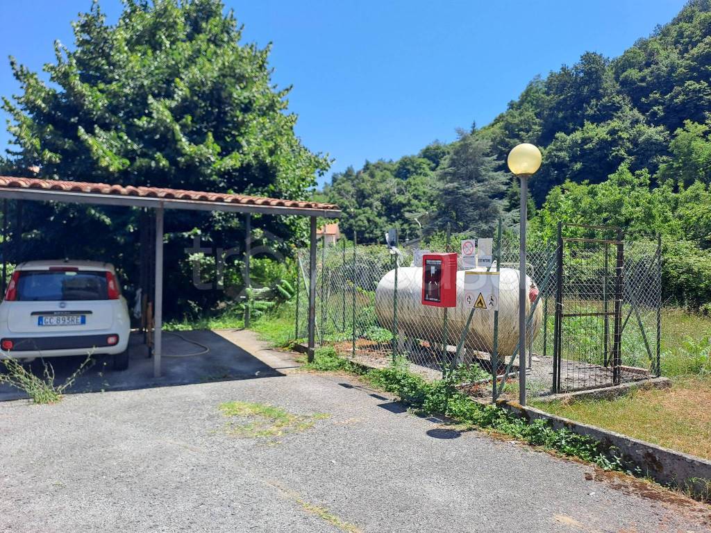 immagine annuncio 9 di 14