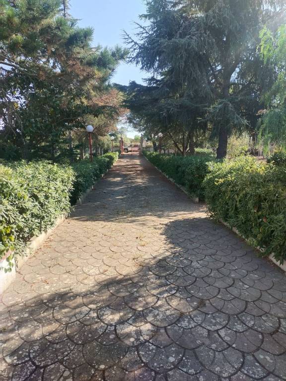 immagine annuncio 7 di 11