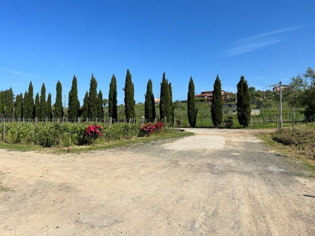 immagine annuncio 5 di 15