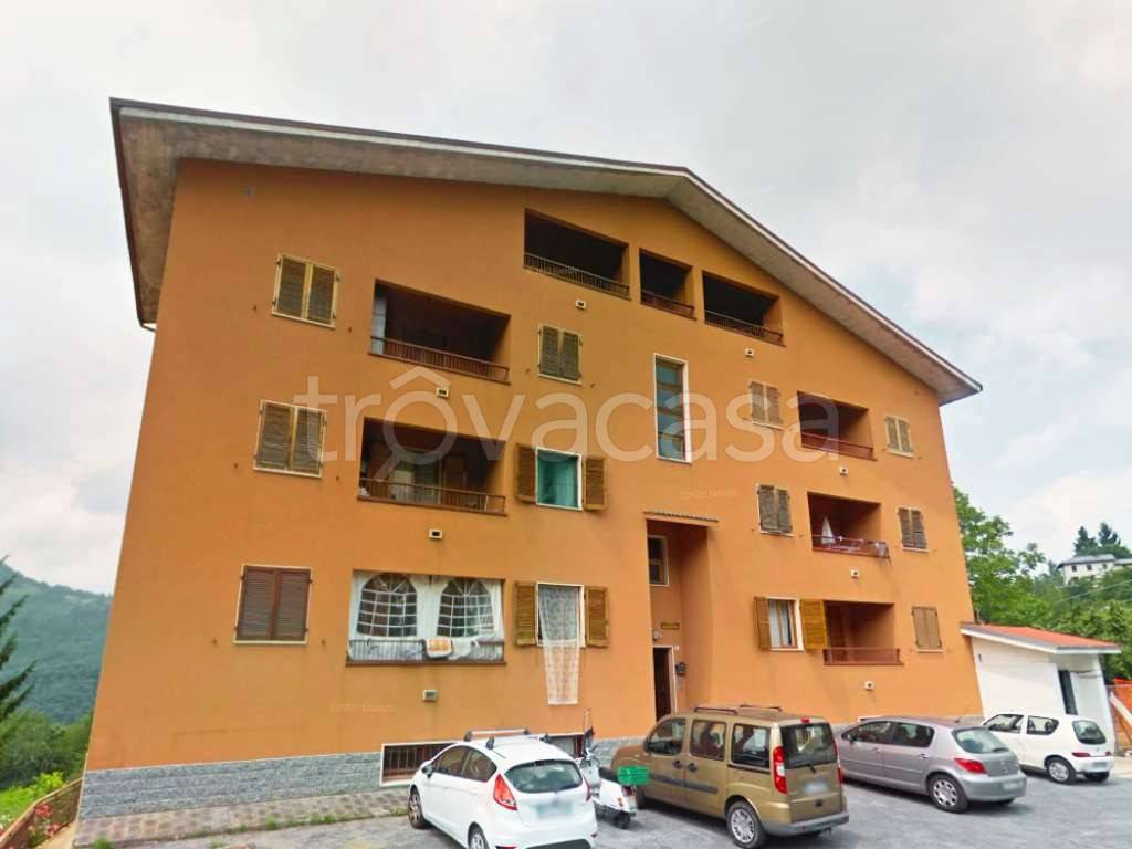 immagine annuncio 3 di 14