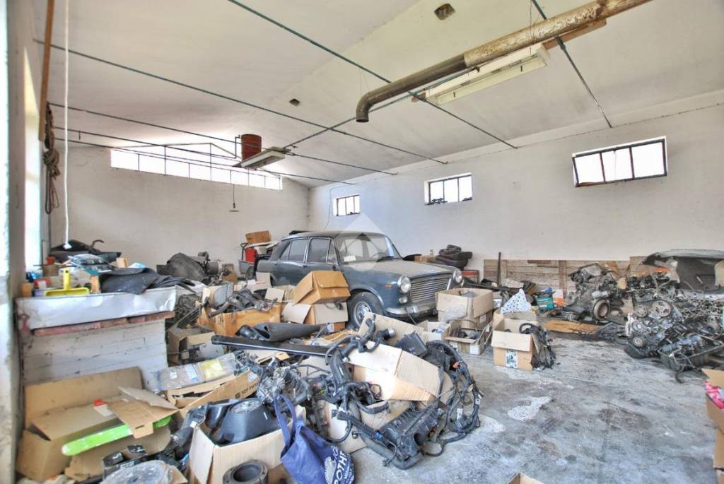 immagine annuncio 3 di 15