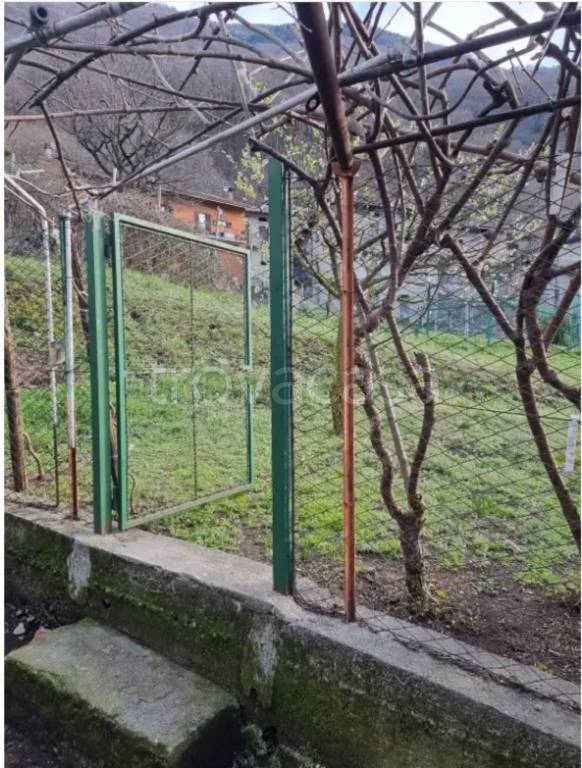 immagine annuncio 5 di 13