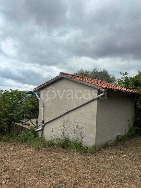 immagine annuncio 10 di 13