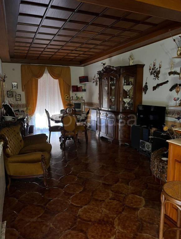 immagine annuncio 3 di 14