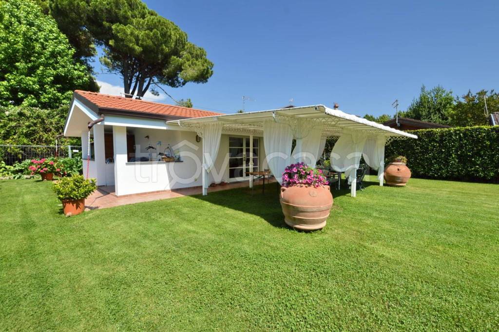 immagine annuncio 7 di 13