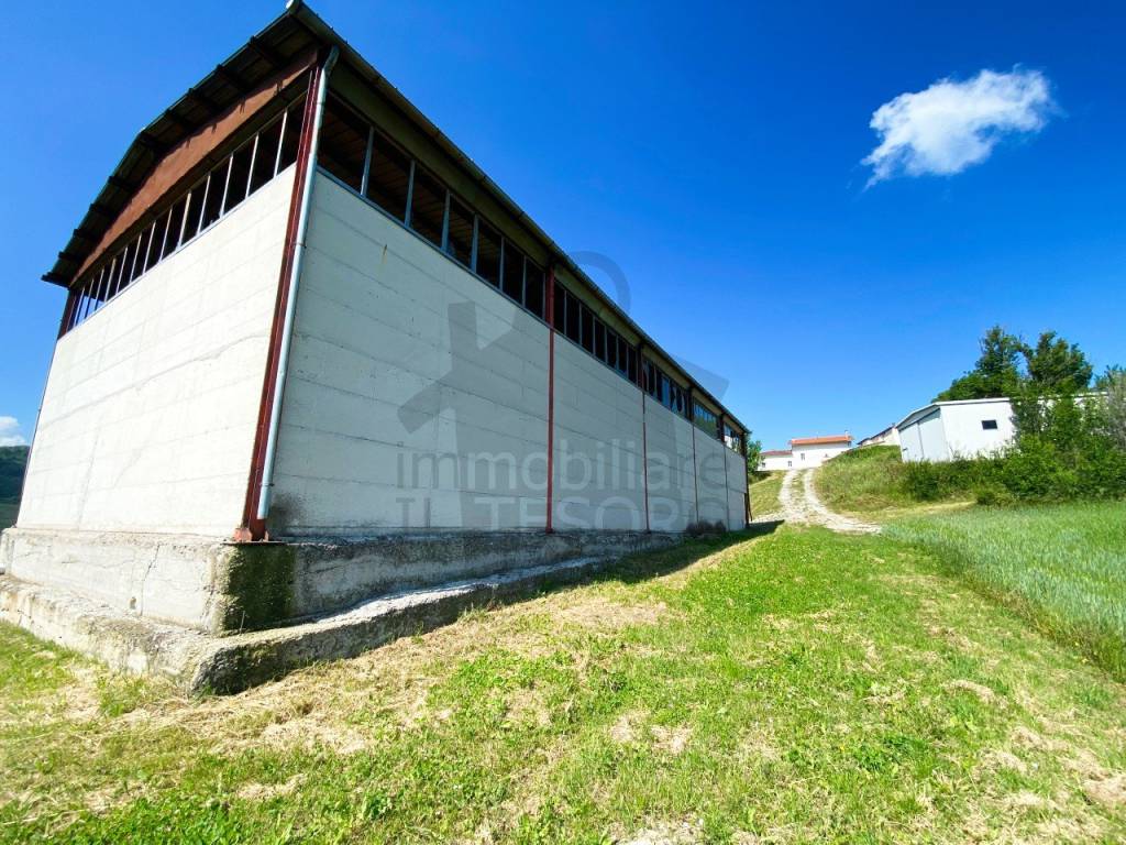 immagine annuncio 3 di 6