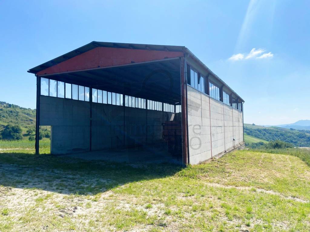 immagine annuncio 4 di 6