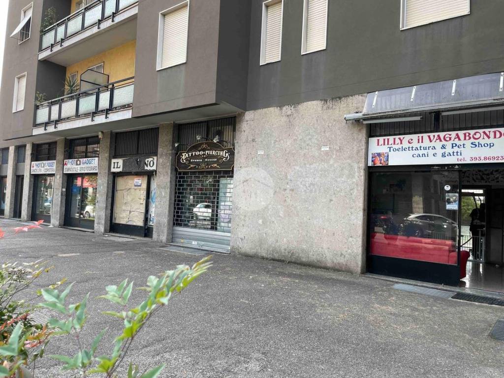 immagine annuncio 8 di 15