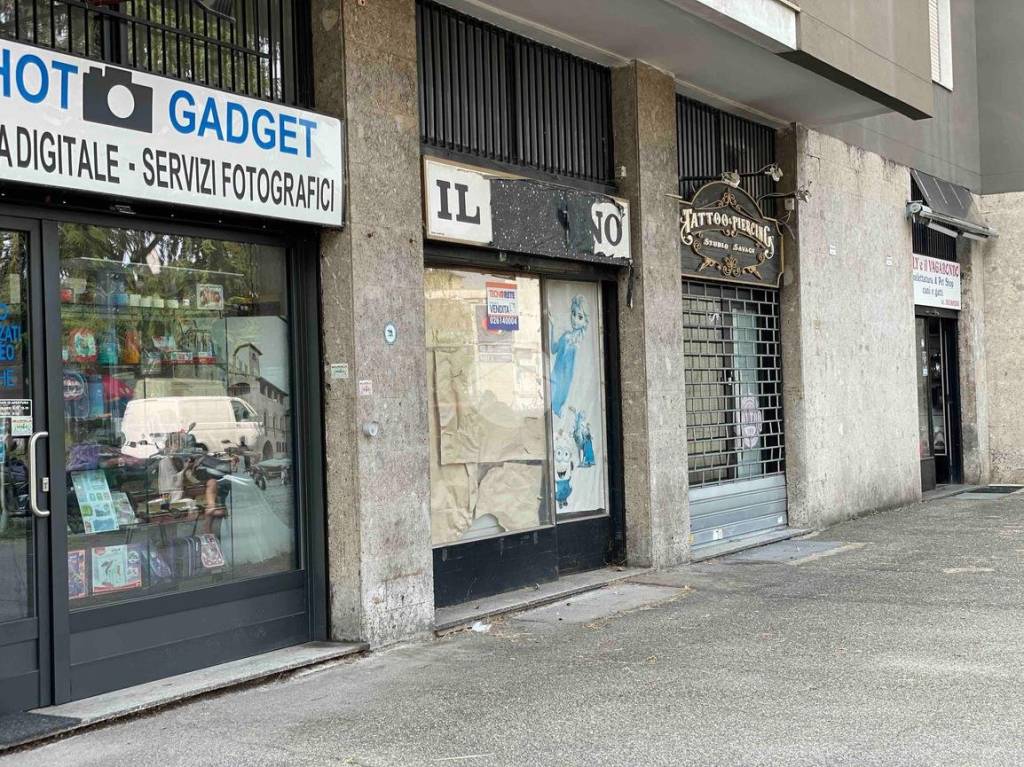 immagine annuncio 12 di 15