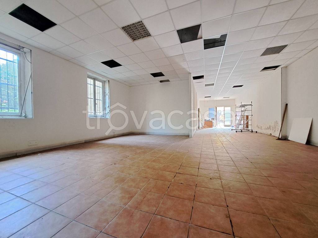 immagine annuncio 2 di 14