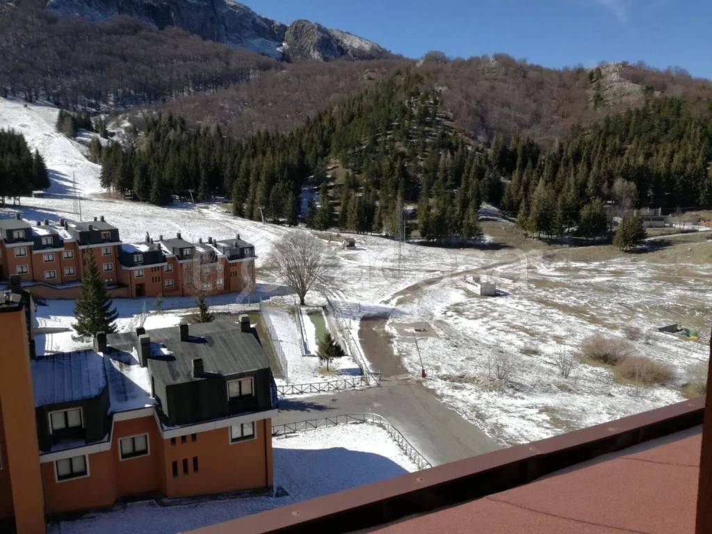 immagine annuncio 2 di 12