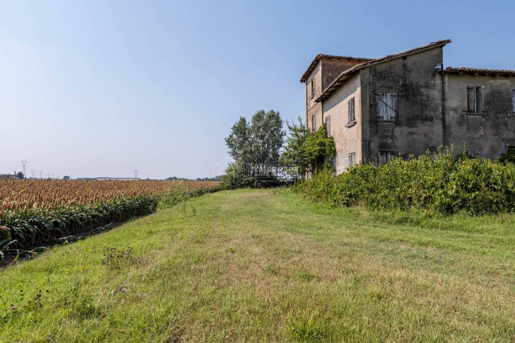 immagine annuncio 3 di 11