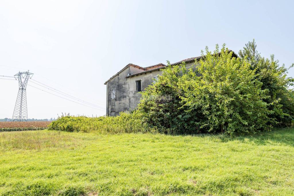 immagine annuncio 7 di 11