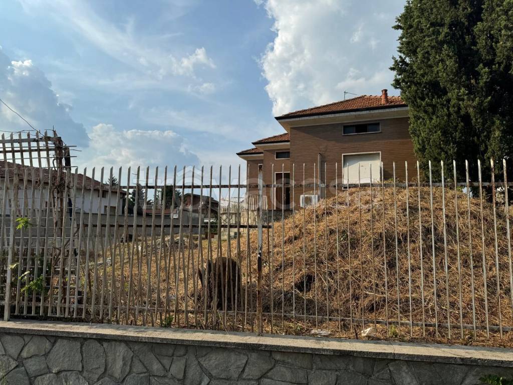 immagine annuncio 4 di 8