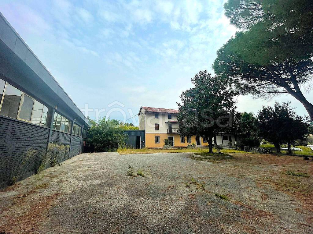 immagine annuncio 2 di 12