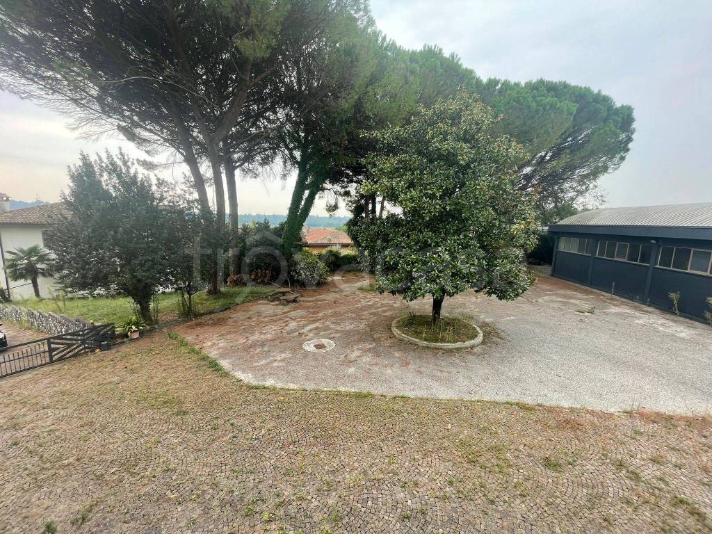 immagine annuncio 1 di 12