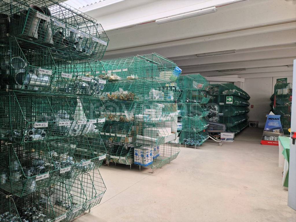 immagine annuncio 11 di 15