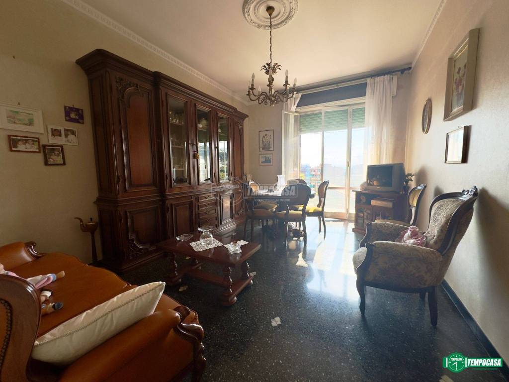 immagine annuncio 3 di 14