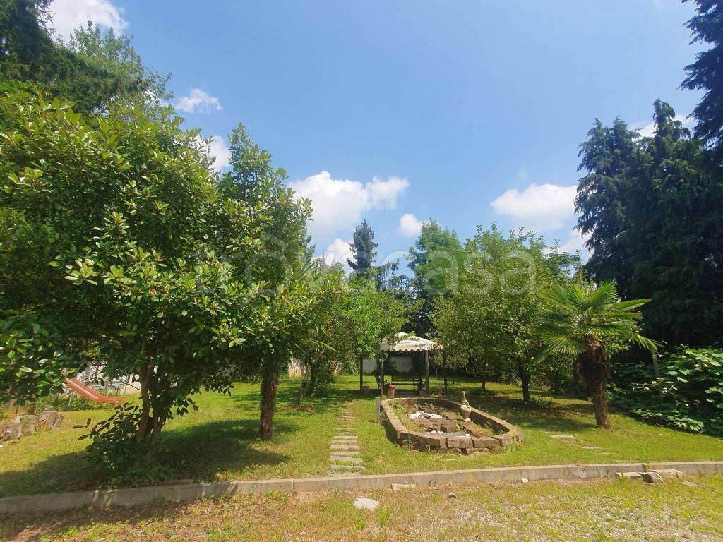 immagine annuncio 7 di 15