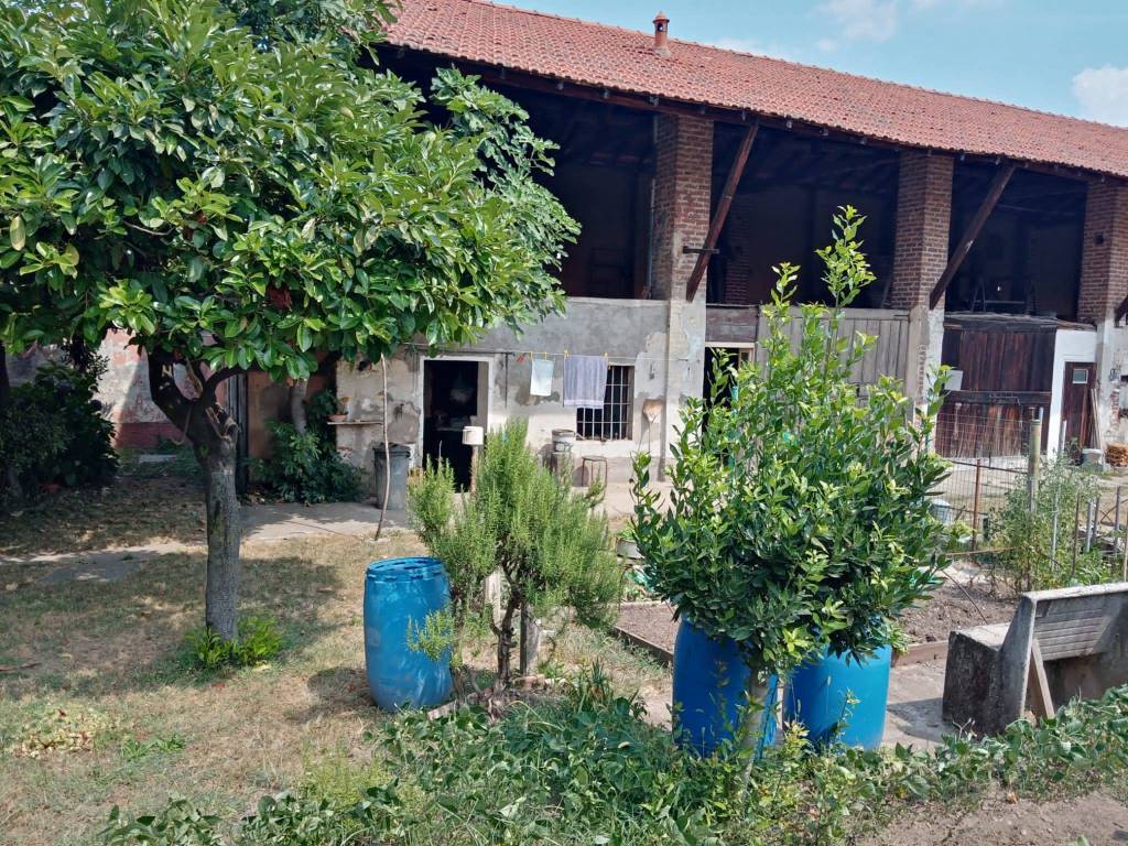 immagine annuncio 6 di 15
