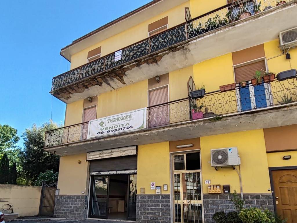 immagine annuncio 1 di 14