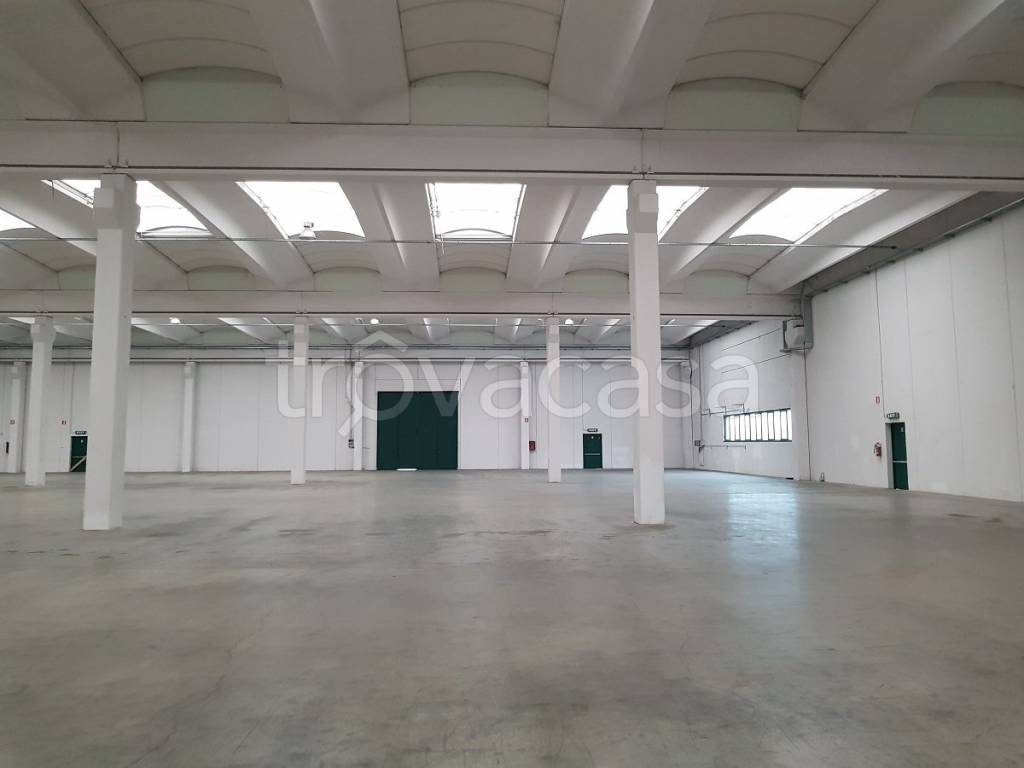immagine annuncio 2 di 7