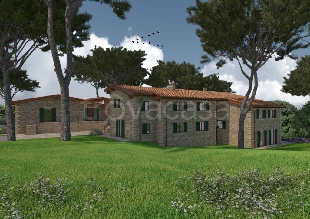 immagine annuncio 6 di 11