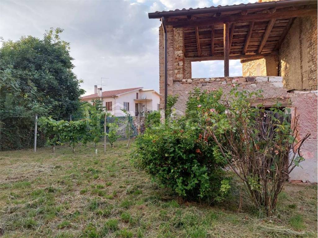 immagine annuncio 5 di 8