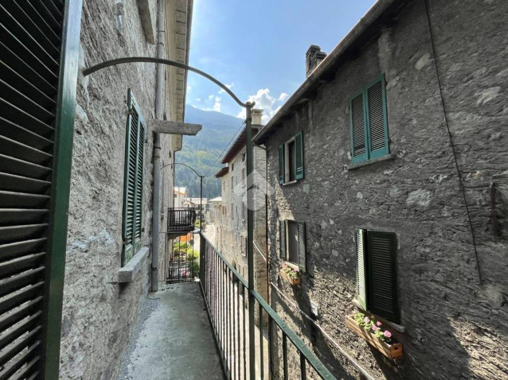 immagine annuncio 5 di 14