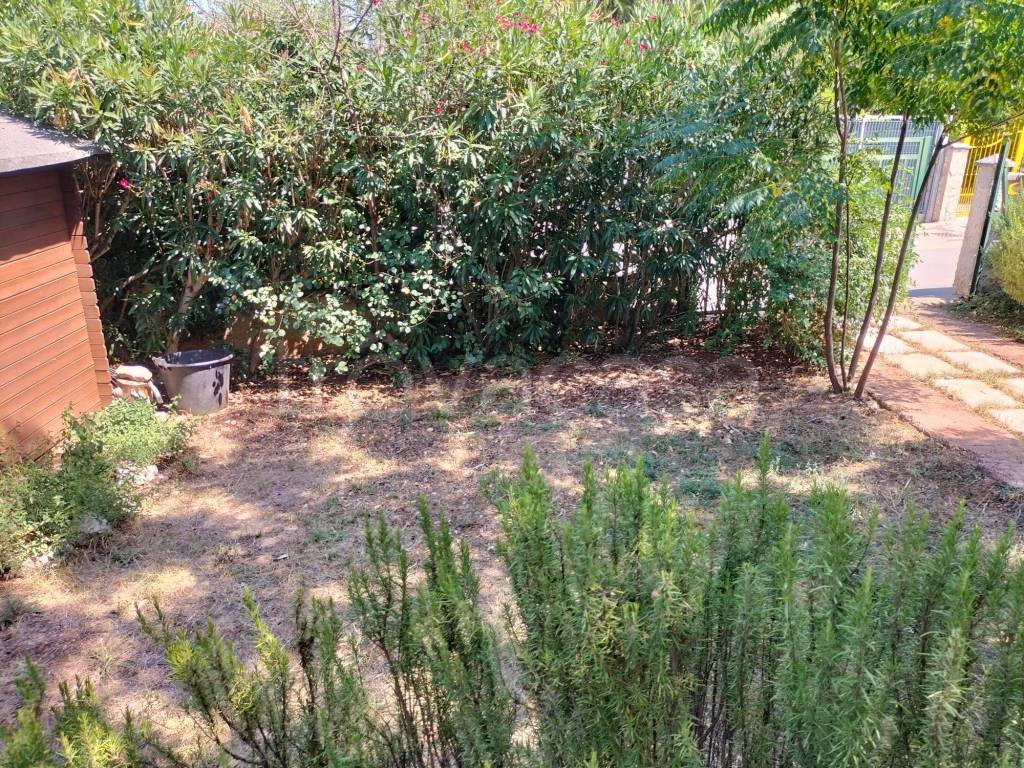 immagine annuncio 6 di 15